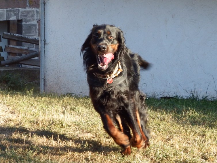 zu Grix's Fotos - bitte hier klicken