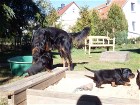 Unser H-Wurf