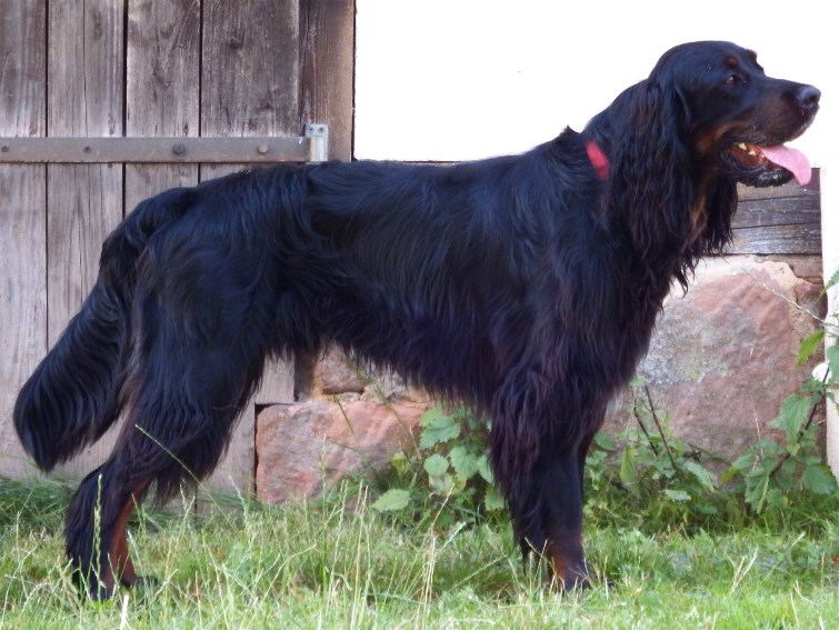 Barry