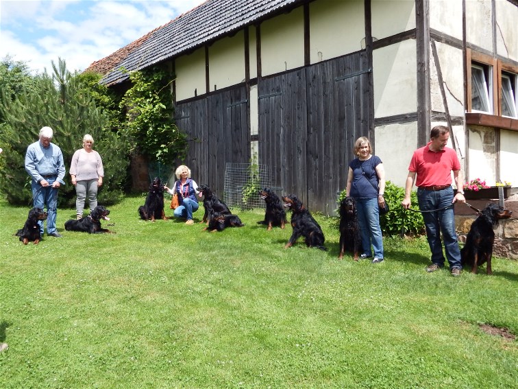 Welpen-Besuch